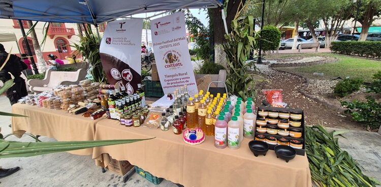 Disfrutan sabor, cultura y tradición en el Festival del Maíz Cinteotl 2025