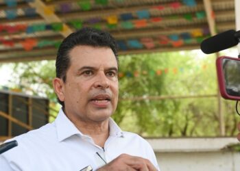 Osezno huérfano encuentra consuelo en un oso de peluche