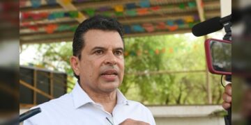 Osezno huérfano encuentra consuelo en un oso de peluche