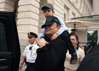 Musk anunció su salida del gobierno de Trump