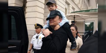 Musk anunció su salida del gobierno de Trump