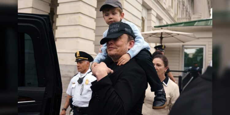 Musk anunció su salida del gobierno de Trump