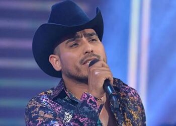 Osezno huérfano encuentra consuelo en un oso de peluche