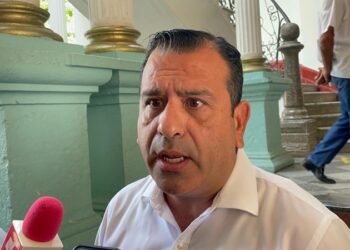 Osezno huérfano encuentra consuelo en un oso de peluche