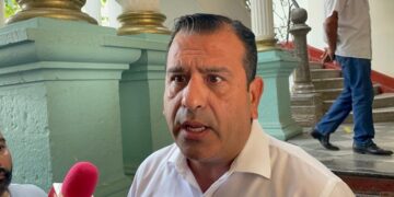 Osezno huérfano encuentra consuelo en un oso de peluche