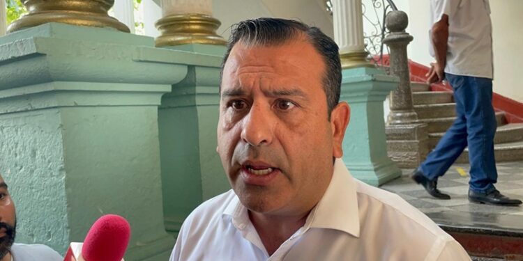 Osezno huérfano encuentra consuelo en un oso de peluche