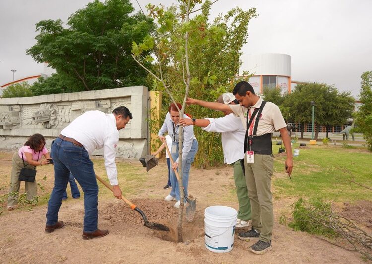 Impulsa NLD campaña de reforestación en espacios públicos y educativos