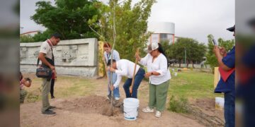Impulsa NLD campaña de reforestación en espacios públicos y educativos
