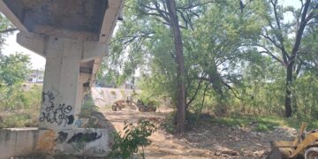 Inicia Municipio reconstrucción de puentes peatonales