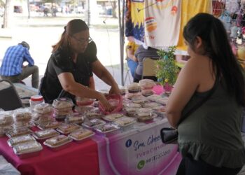 Invita INMUJER a disfrutar de la “Mercadita La Red” en Plaza Hidalgo
