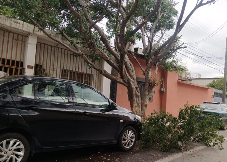 Limpian drenes de Victoria tras paso del Frente Frío 42