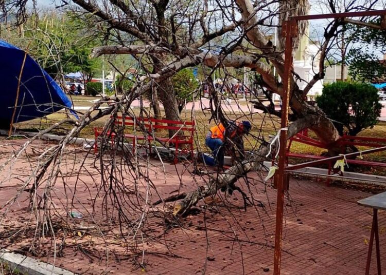 Limpian drenes de Victoria tras paso del Frente Frío 42