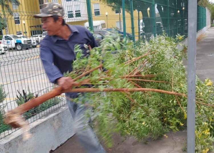 Limpian drenes de Victoria tras paso del Frente Frío 42