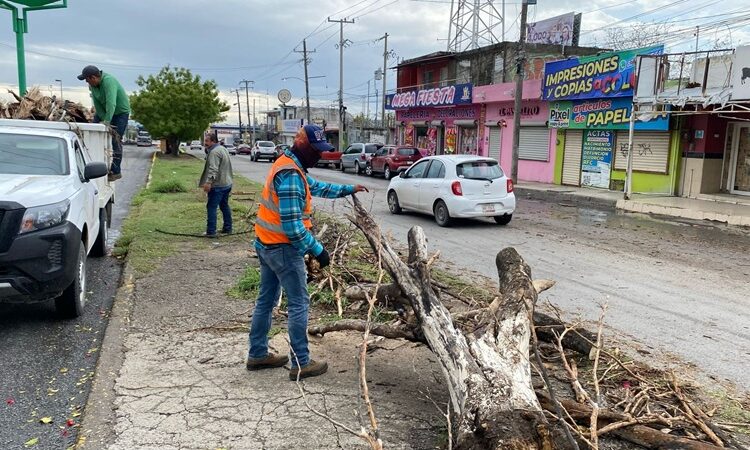 Limpian drenes de Victoria tras paso del Frente Frío 42