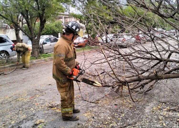 Limpian drenes de Victoria tras paso del Frente Frío 42