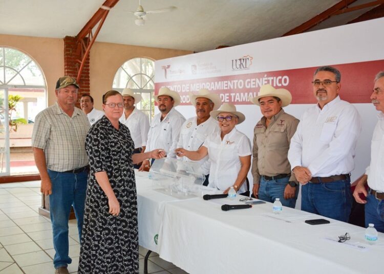 Llevan Programa de Mejoramiento Genético al municipio de Aldama