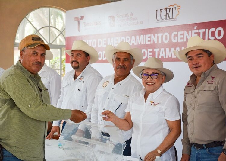 Llevan Programa de Mejoramiento Genético al municipio de Aldama