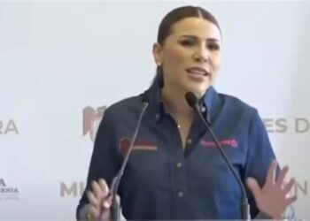 “No es requisito tener visa para gobernar”: Marina del Pilar
