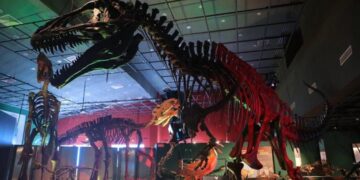 Invitan a una noche en el museo de NLD