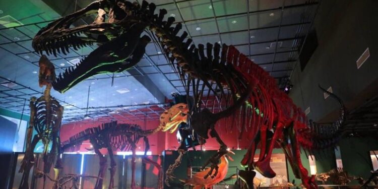 Invitan a una noche en el museo de NLD