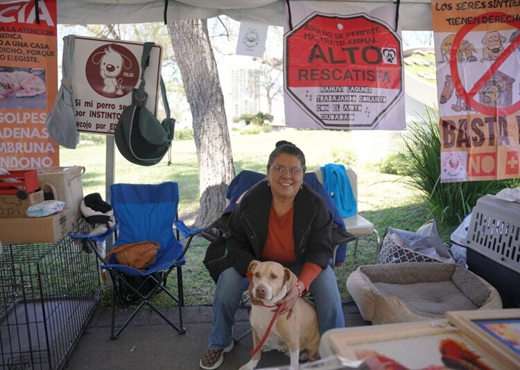 NLD invita a dar un hogar a un amigo peludo en la ‘Feria de Adopción Canina y Felina’