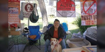 NLD invita a dar un hogar a un amigo peludo en la ‘Feria de Adopción Canina y Felina’