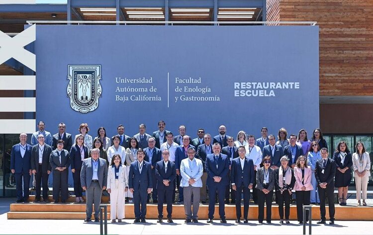 Nombran a Dámaso Anaya vicepresidente de la sesión nacional del CUPIA