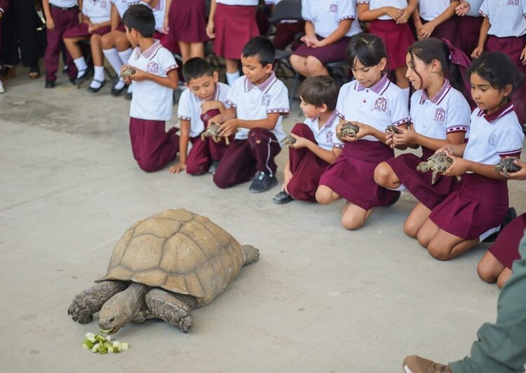 Participa SEDUMA en la Academia Social de Valores