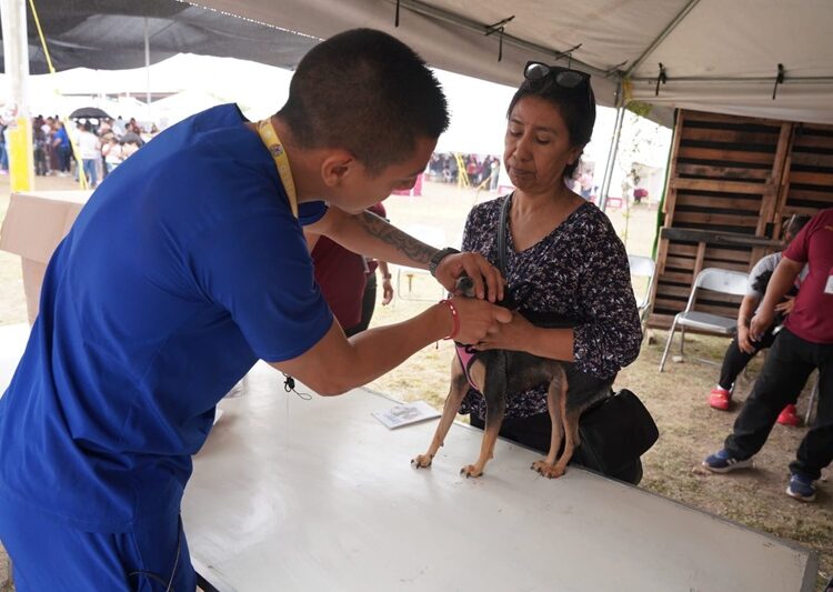 “Presidencia cerquita de ti” llegará a la Colonia Solidaridad