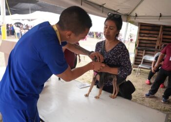 “Presidencia cerquita de ti” llegará a la Colonia Solidaridad