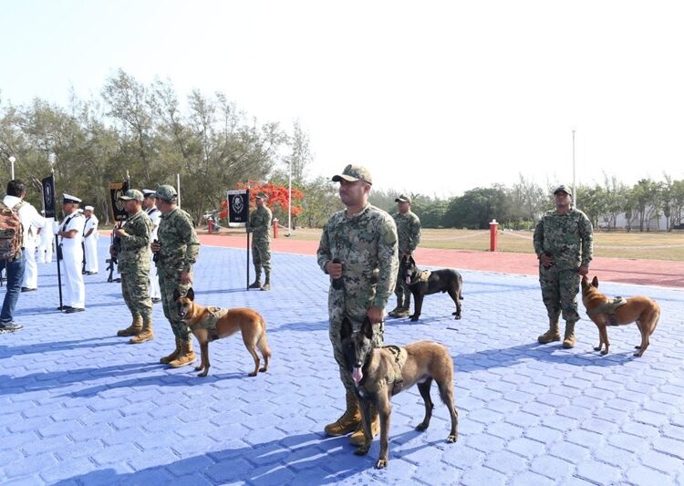 Reconoce AVA respaldo de la SEMAR para la paz y el desarrollo de Tamaulipas