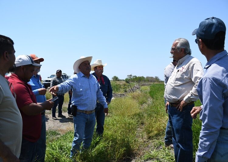 Supervisa secretario de Desarrollo Rural siembra de arroz