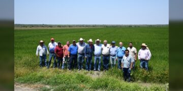 Supervisa secretario de Desarrollo Rural siembra de arroz