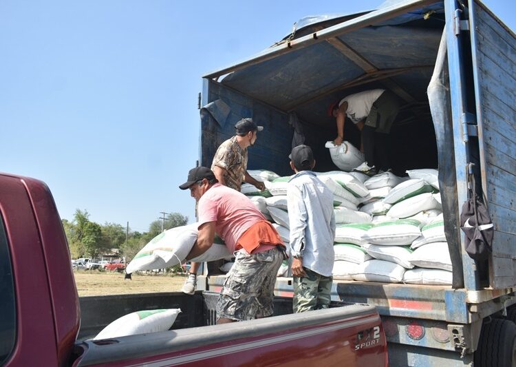 Abren ventanillas para el programa de fertilizante a citricultores