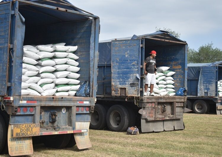 Abren ventanillas para el programa de fertilizante a citricultores