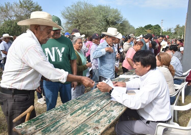 Abren ventanillas para el programa de fertilizante a citricultores