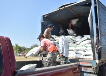 Abren ventanillas para el programa de fertilizante a citricultores