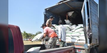 Abren ventanillas para el programa de fertilizante a citricultores