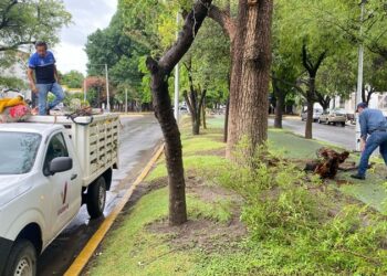 Activa Gobierno de Victoria operativo por periodo de lluvias