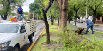 Activa Gobierno de Victoria operativo por periodo de lluvias