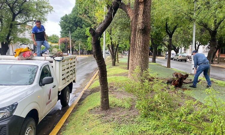 Activa Gobierno de Victoria operativo por periodo de lluvias