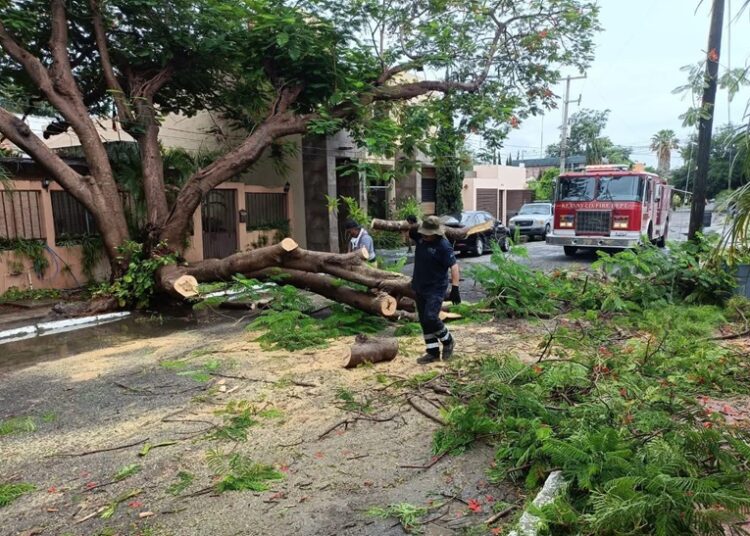 Activa Gobierno de Victoria operativo por periodo de lluvias