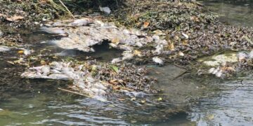 Disney despedirá a cientos de empleados en todo el mundo