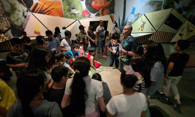 Aprenden y se divierten con el ‘Programa Enseñanza Vivencial de las Ciencias’
