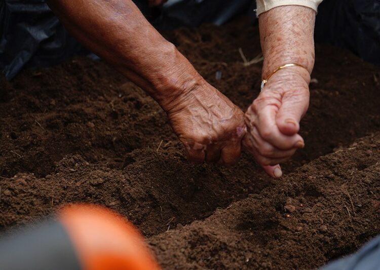 Arranca taller de ‘Huertos Urbanos en la Casa Club del Adulto Mayor’ del DIF NLD