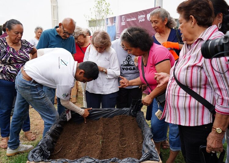 Arranca taller de ‘Huertos Urbanos en la Casa Club del Adulto Mayor’ del DIF NLD