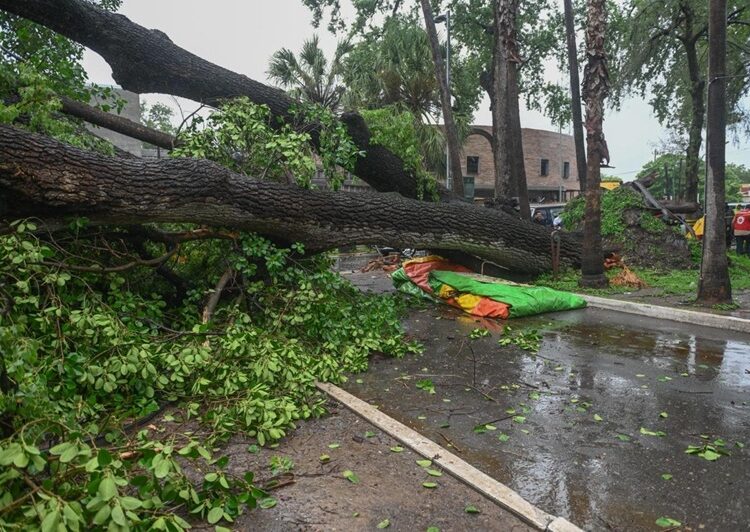 Atiende alcalde daños por intensas lluvias en Victoria