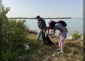 Colabora la UAT en la conservación del mangle en el litoral tamaulipeco