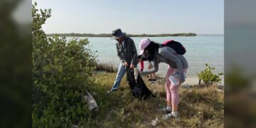 Colabora la UAT en la conservación del mangle en el litoral tamaulipeco