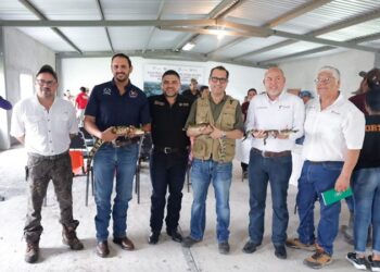 Colabora la UAT en la conservación y control del cocodrilo morelet